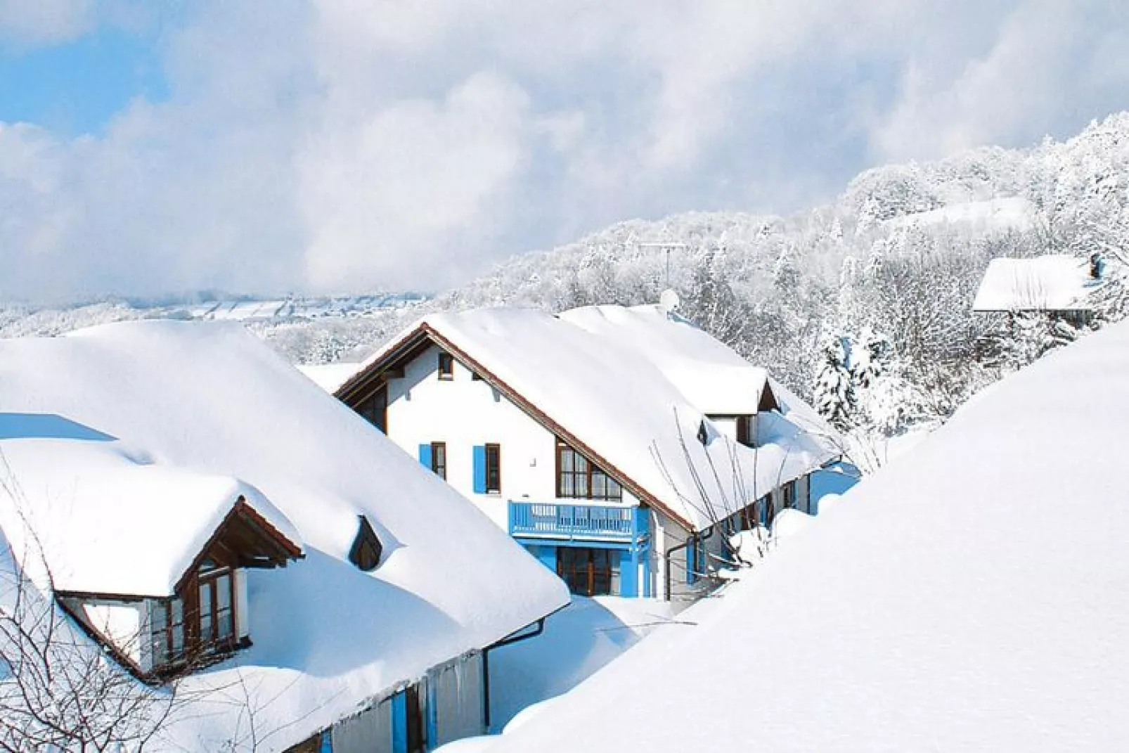 Apartments home Sonnenwald, Langfurth-1-Raum-App., 30-36 qm, Typ B-Gebied winter 1km