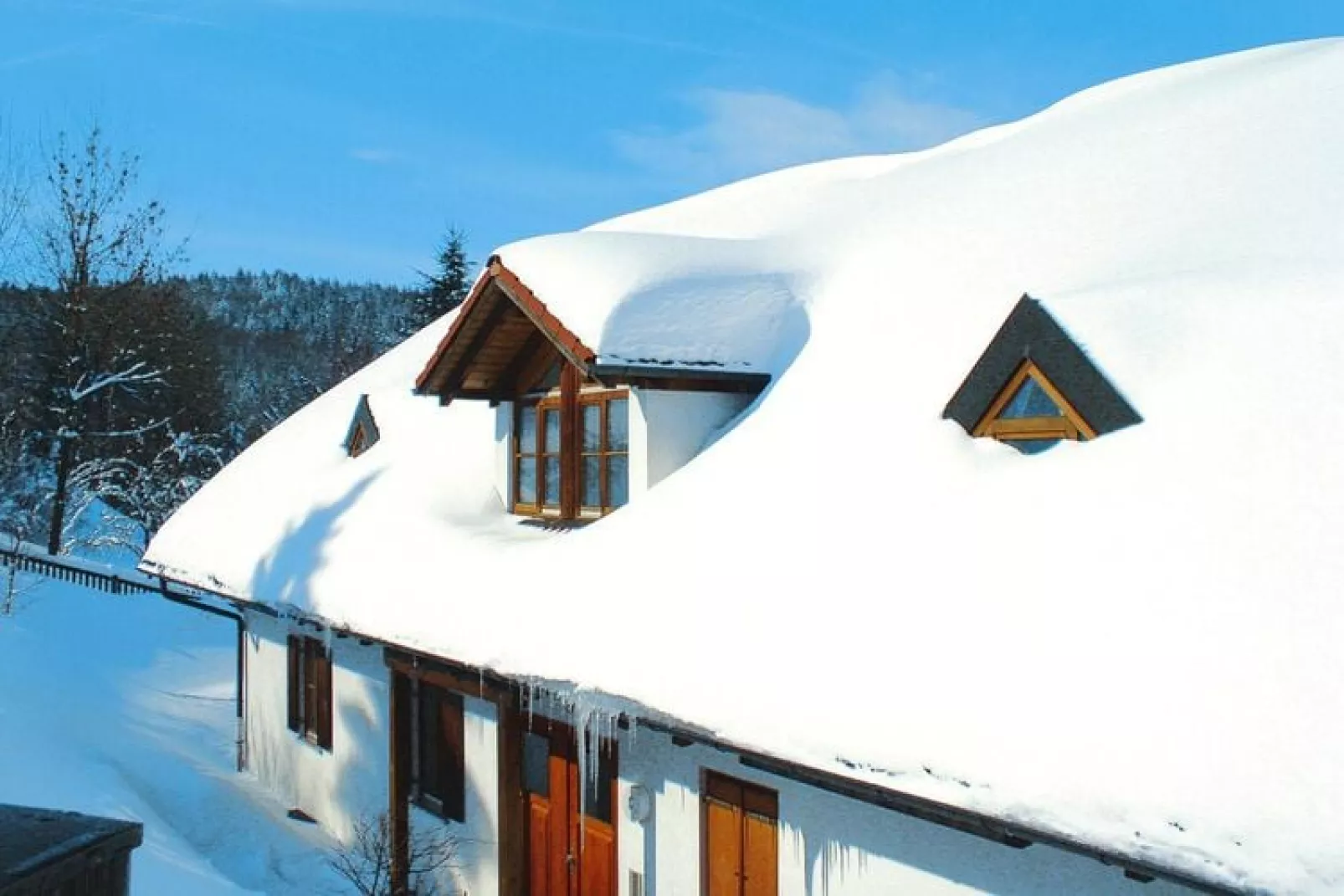Apartments home Sonnenwald, Langfurth-1-Raum-App., 30-36 qm, Typ B-Exterieur winter