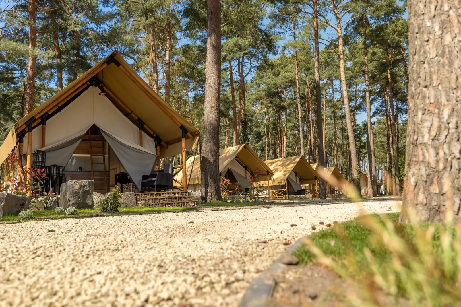 Resort Hoge Kempen 5-Buitenkant zomer