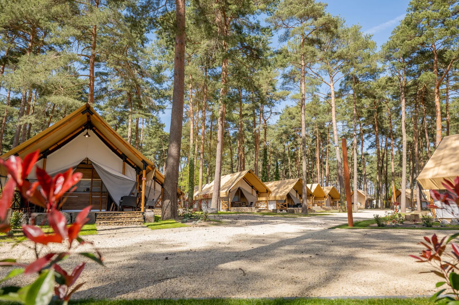 Resort Hoge Kempen 5-Buitenkant zomer