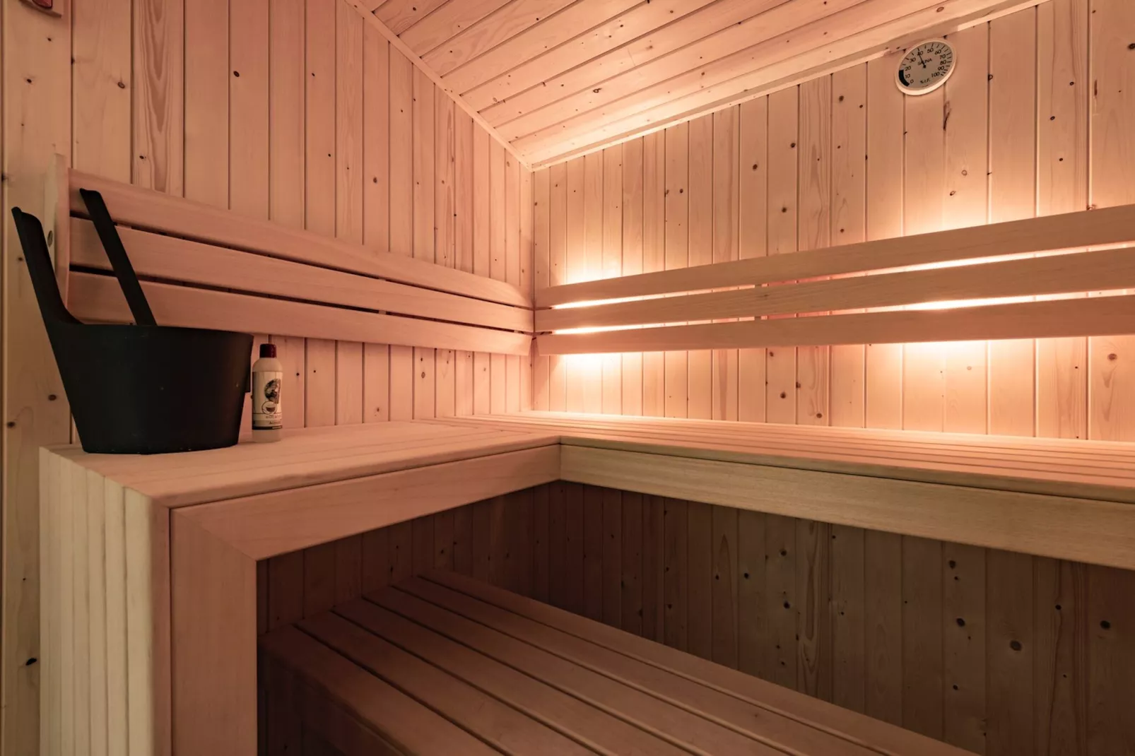 Friese Meren Villa's 5 - Wellness