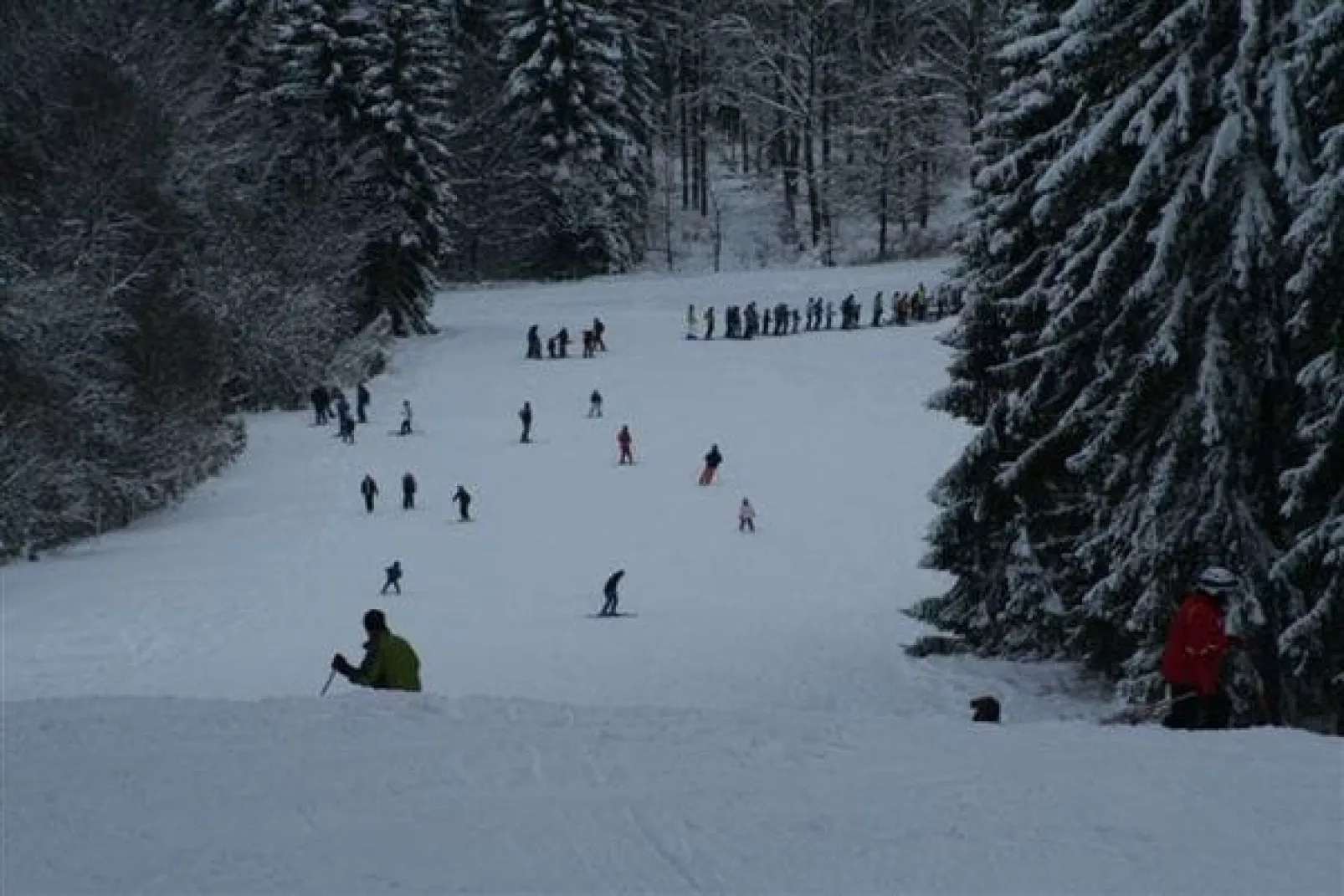 Eifelpark 10-Gebied winter 20km