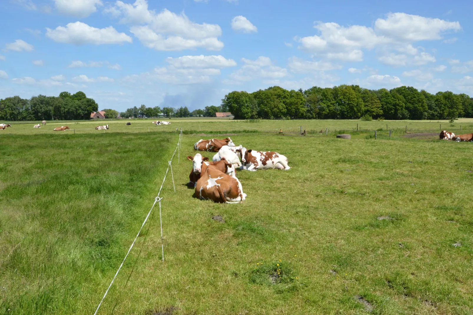 De Eik-Uitzicht zomer