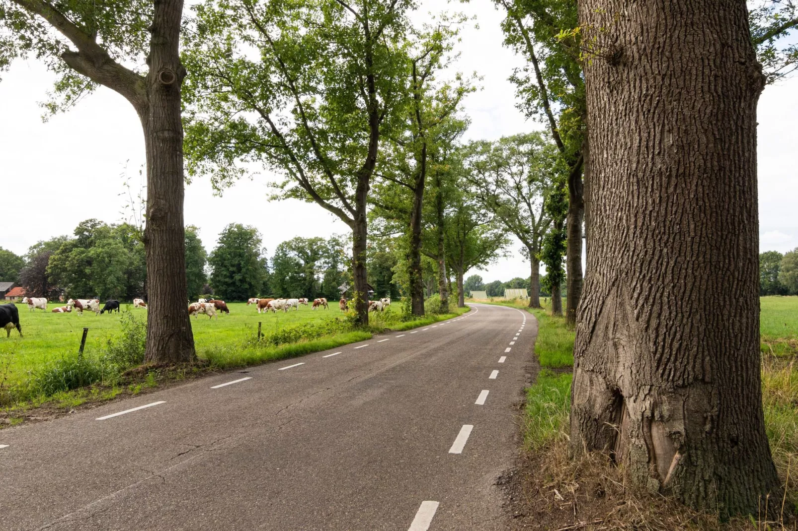 Kotman's spieker 6 persoons-Gebieden zomer 1km