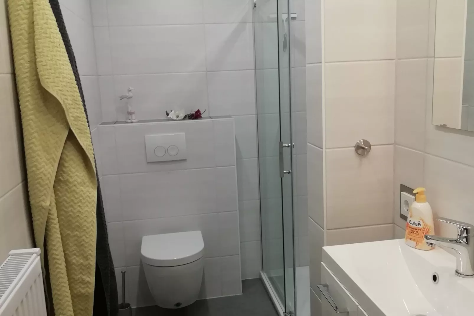 Haus Heinen-Badkamer
