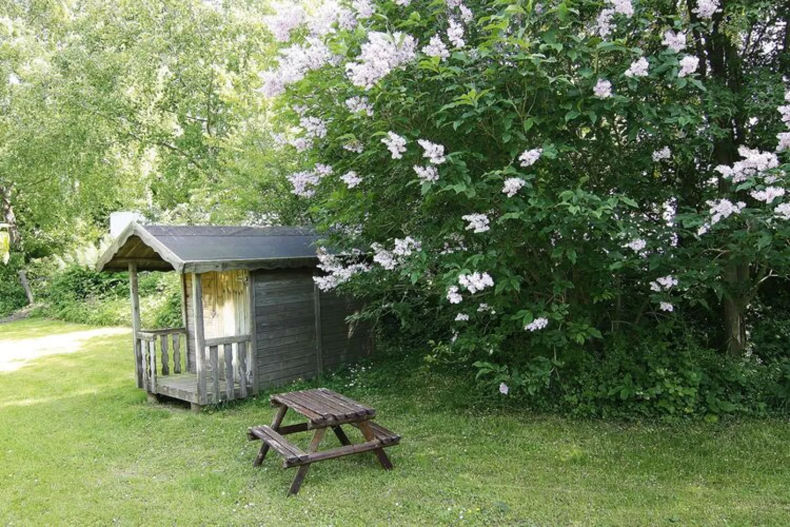 Ferienhaus Damp 90 qm 4 Personen-Tuinen zomer