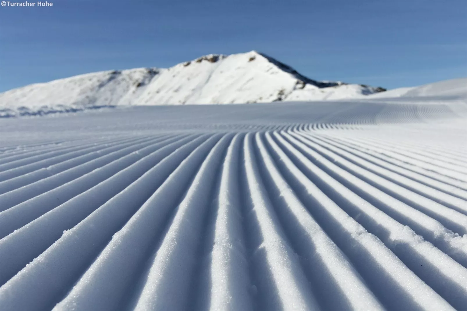 Alpenpark Turrach 1-Gebied winter 5km