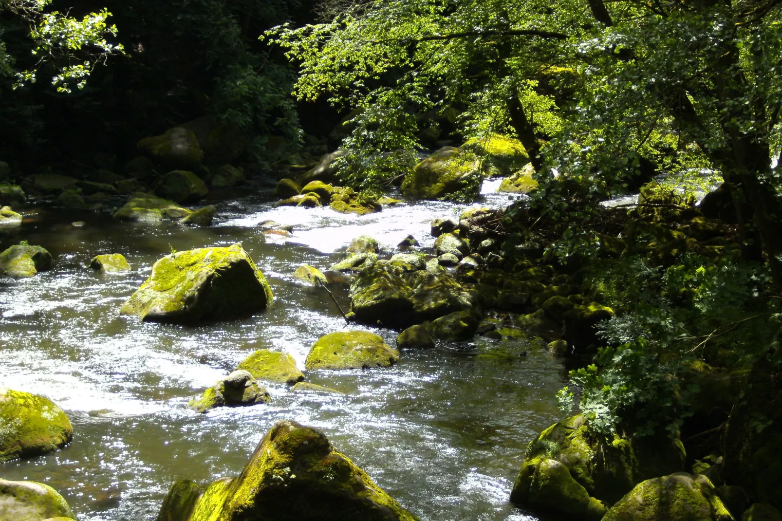 Am Schäferhof-Gebieden zomer 20km