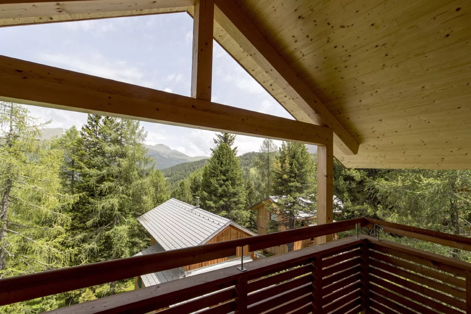 Alpenpark Turrach 2-Uitzicht zomer