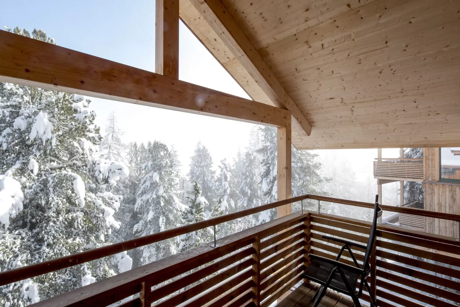 Alpenpark Turrach 2-Uitzicht winter
