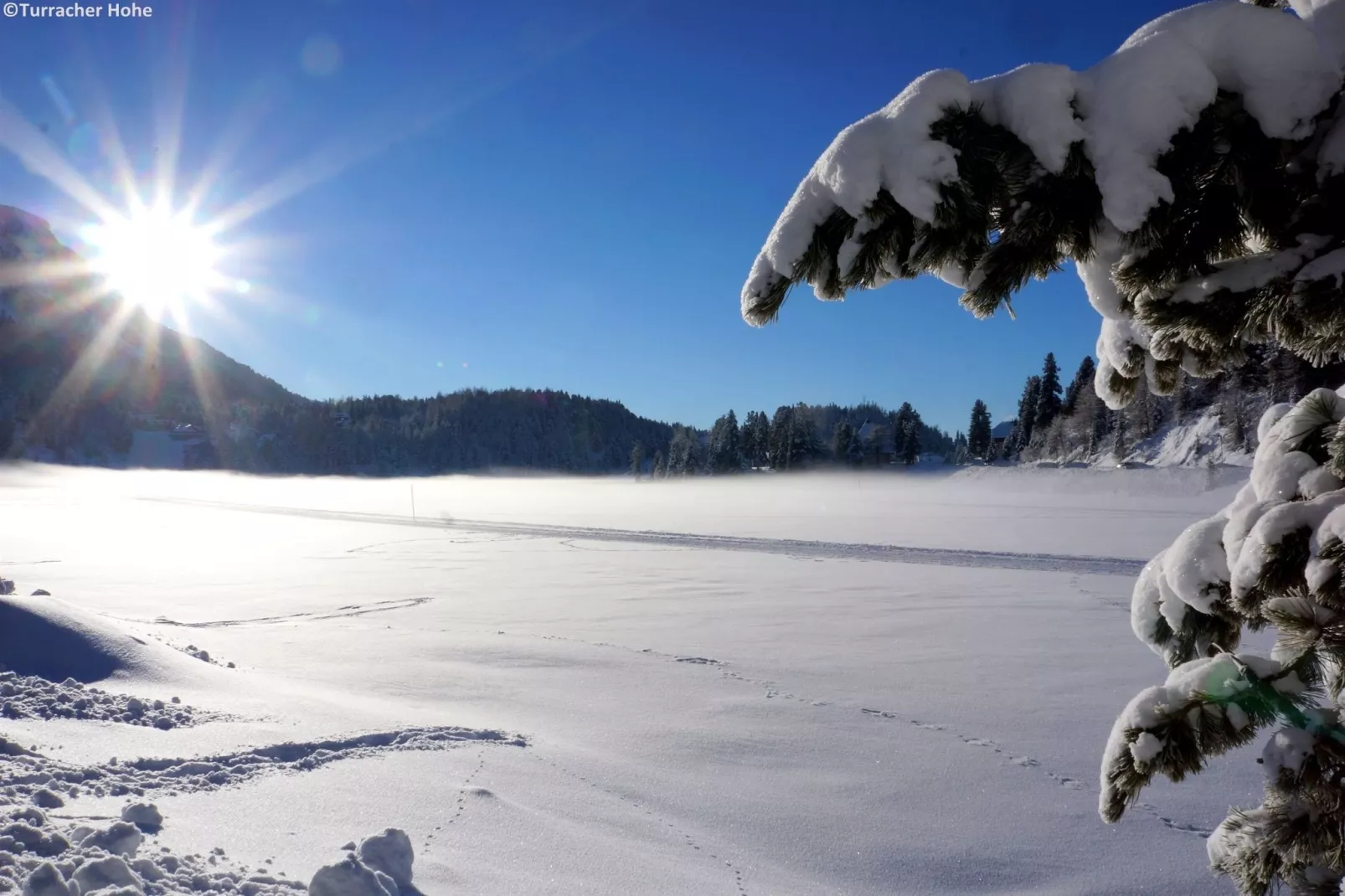 Alpenpark Turrach 2-Gebied winter 1km