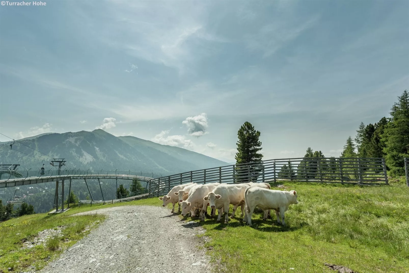 Alpenpark Turrach 2-Gebieden zomer 5km
