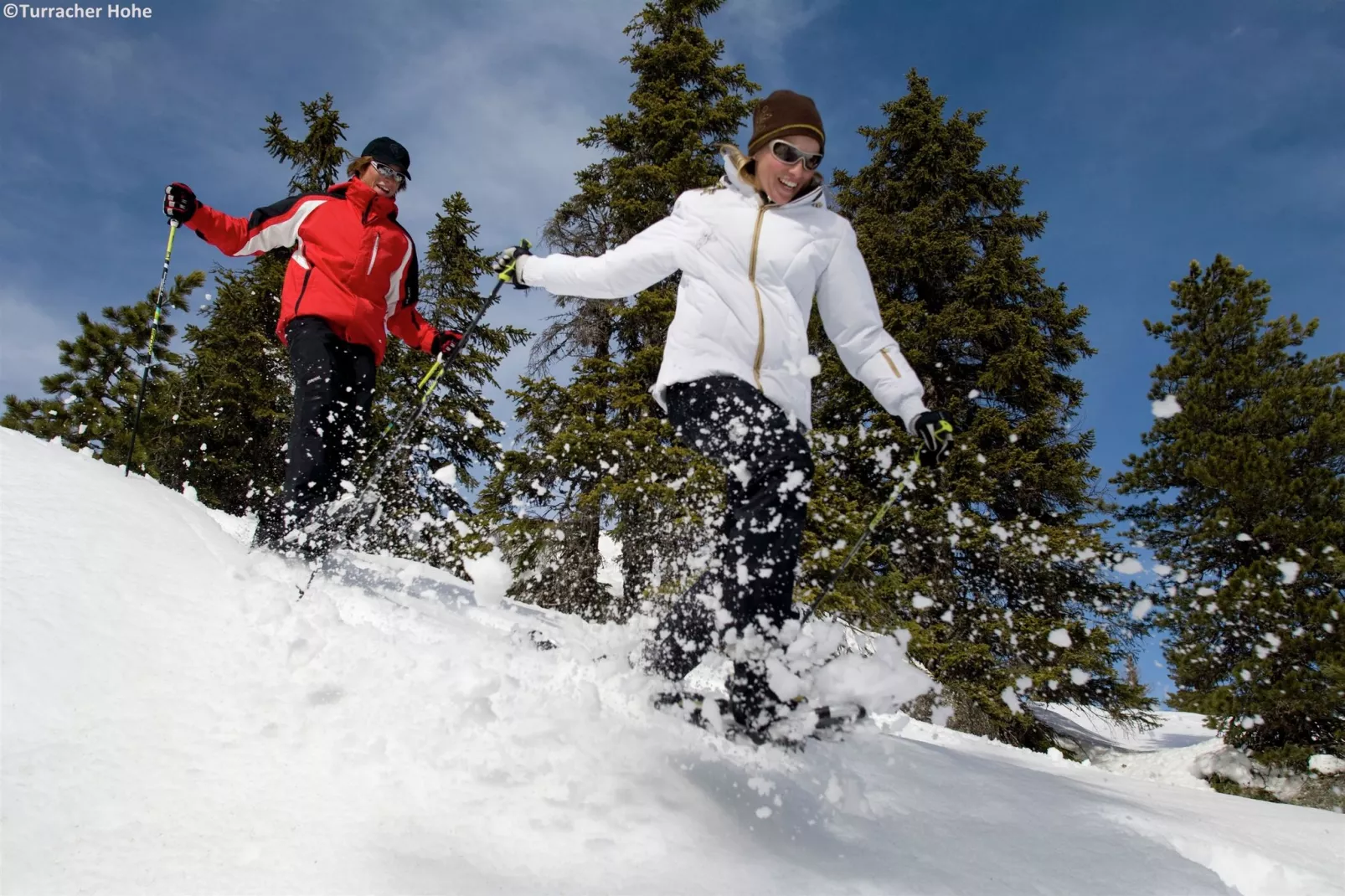 Alpenpark Turrach 2-Gebied winter 5km