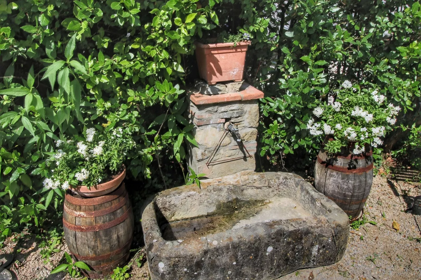 Podere Pulicciano Scaletta-Sfeer