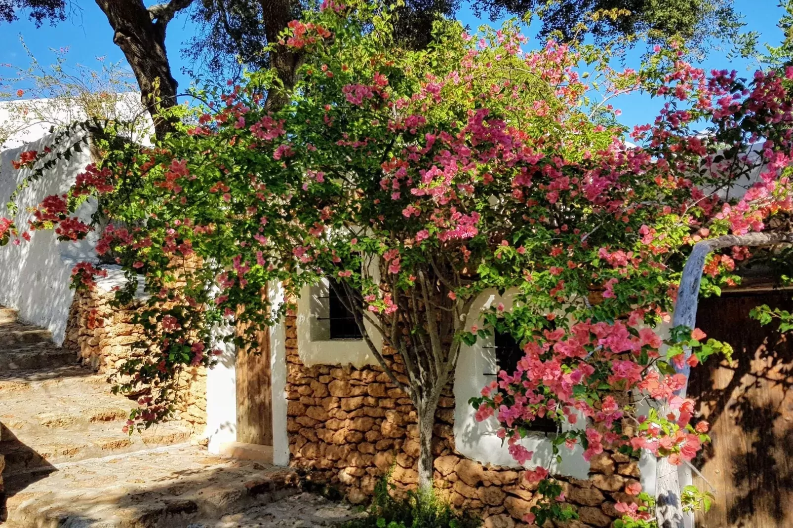 Finca Planetas-Gebieden zomer 1km