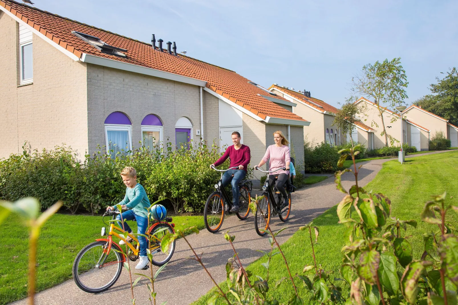 Vakantiepark de Soeten Haert 14-Buitenkant zomer