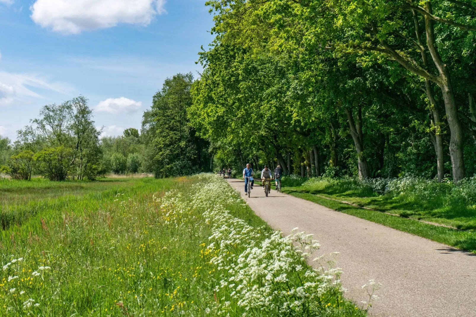 Resort Het Amsterdamse Bos 2-Gebieden zomer 5km