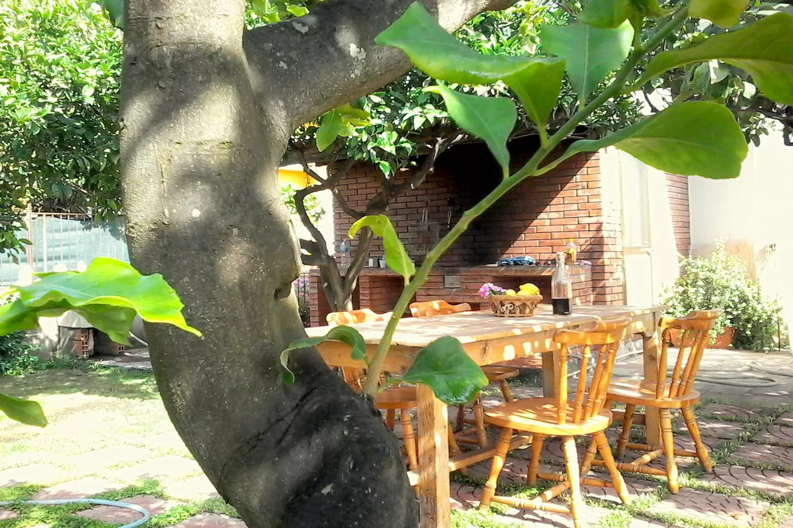 Casa Limoncello Golf-Tuinen zomer