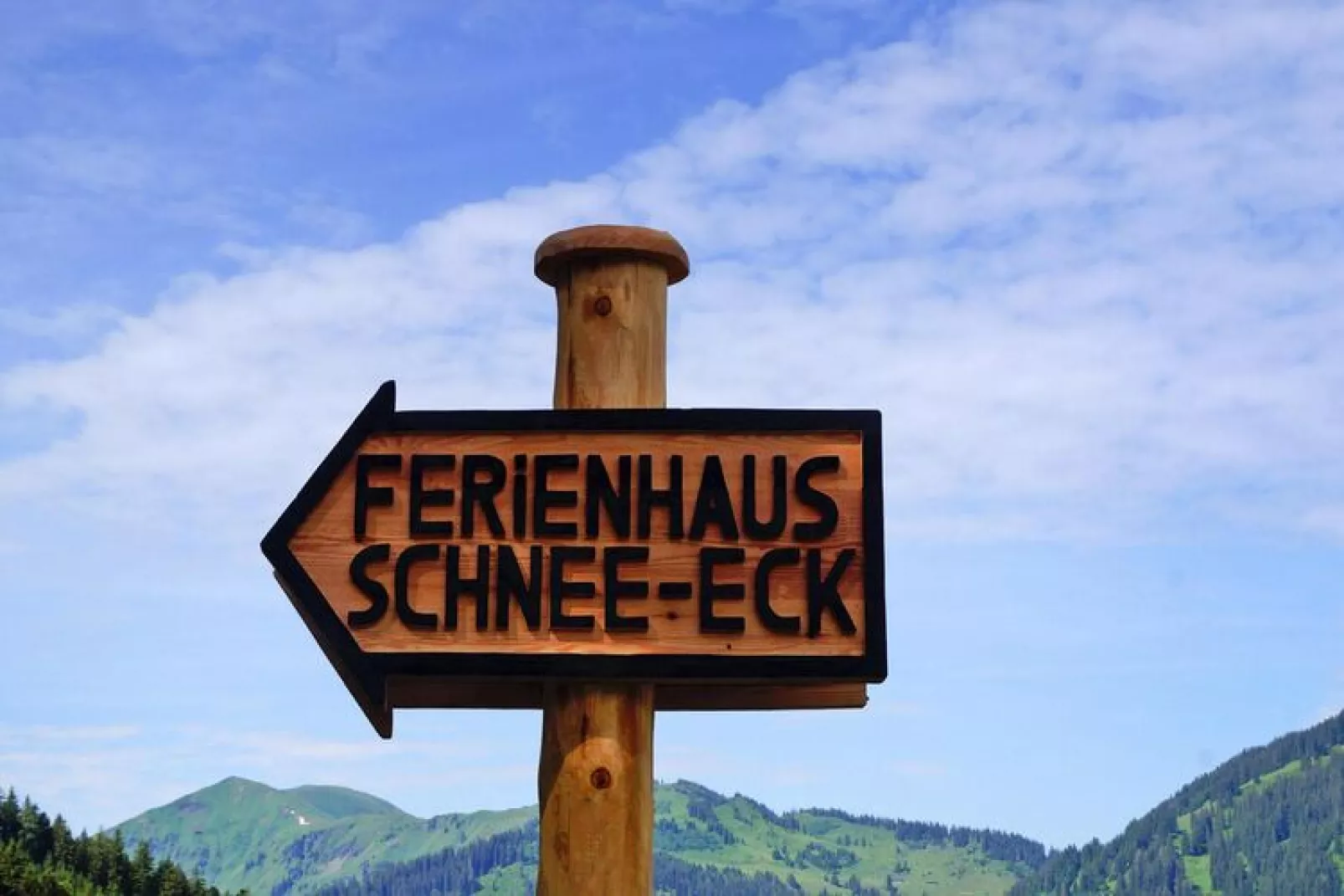 Holiday home, Dienten-Schnee-Eck 12 Pers. - Buitenlucht