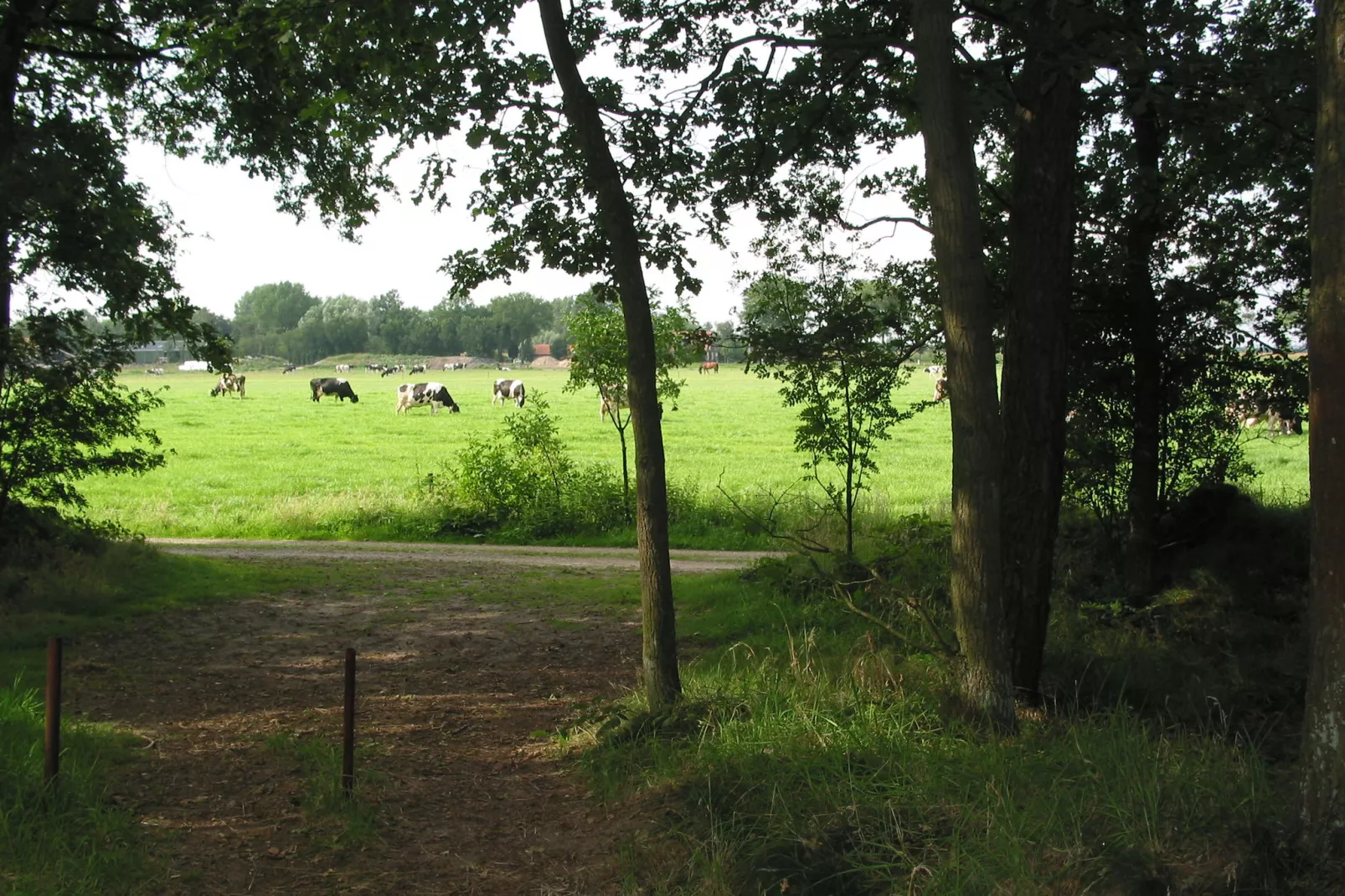 Vakantiepark Herperduin 6-Gebieden zomer 1km