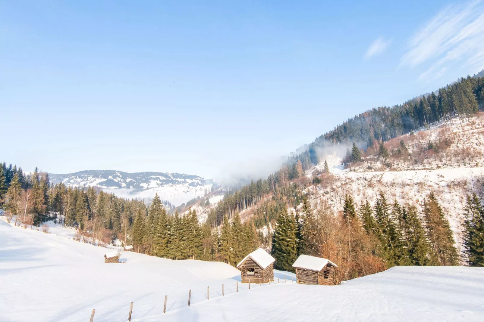 Golden Lodges Type 50 - APP 4 pers - Gebied winter 5km