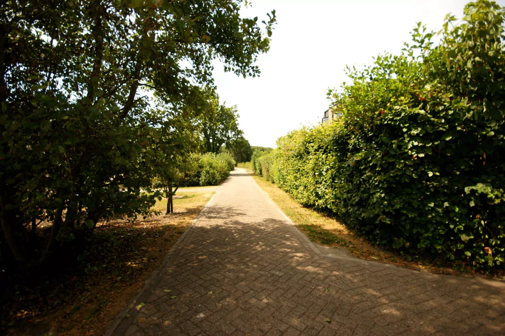 De Haaijmanweg 5-Gebieden zomer 1km