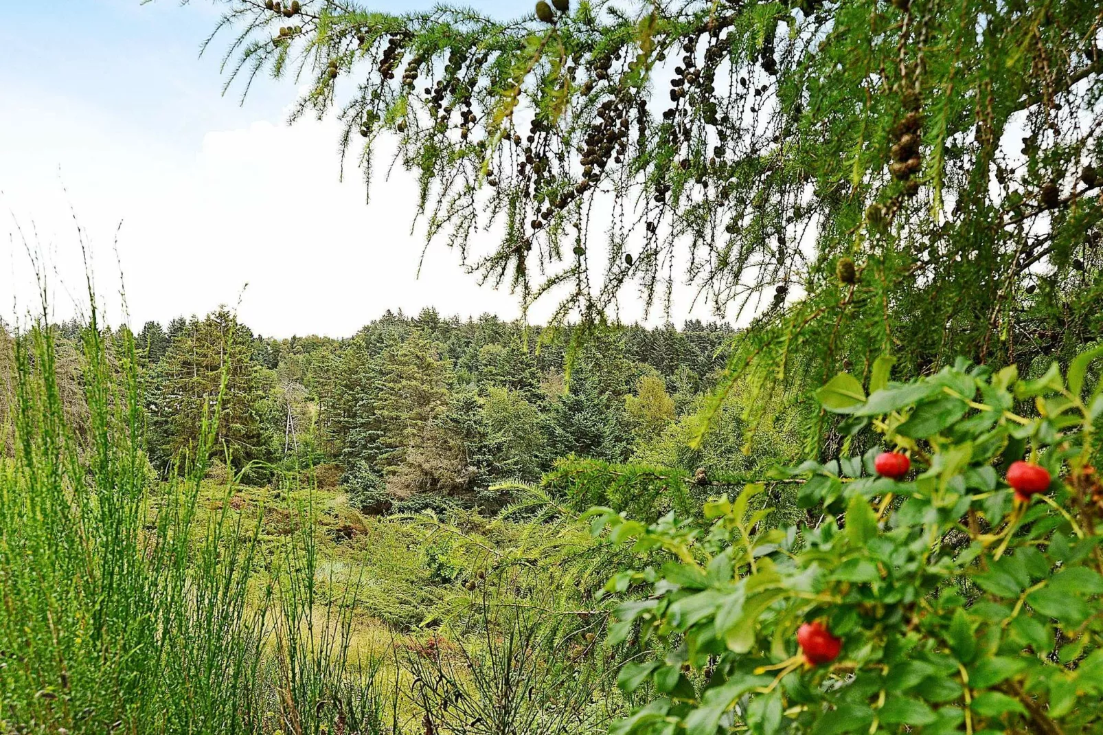 8 persoons vakantie huis in Brovst-By Traum-Uitzicht