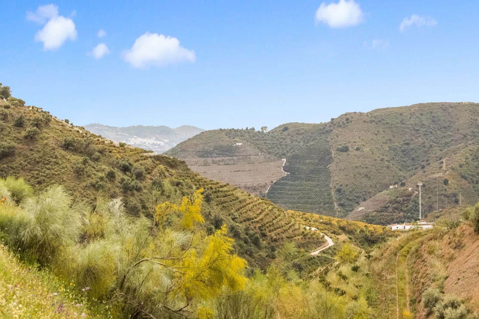 La Loma-Gebieden zomer 20km