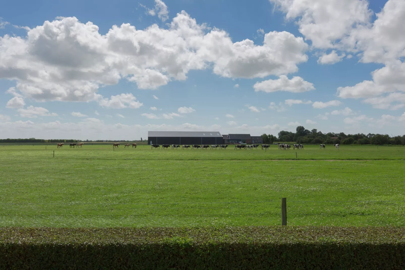 De Zeeuwse Schuur - comfort 6 personen-Gebieden zomer 1km
