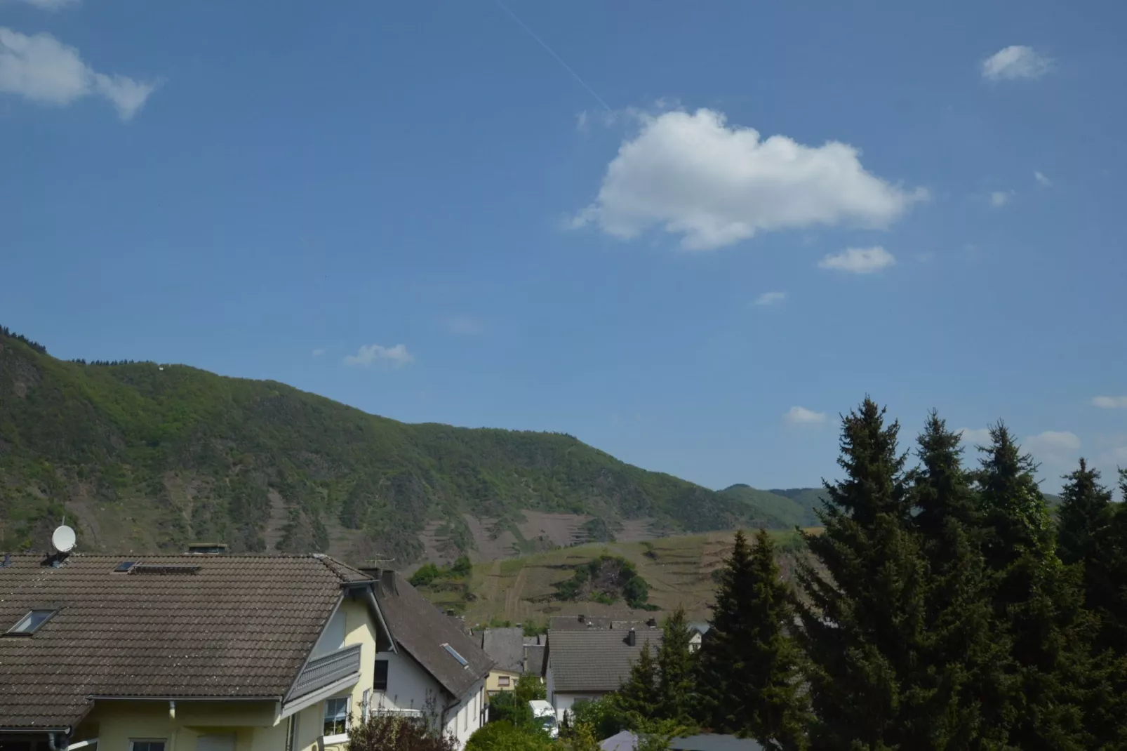 Gruppenhaus Moselblick-Uitzicht zomer