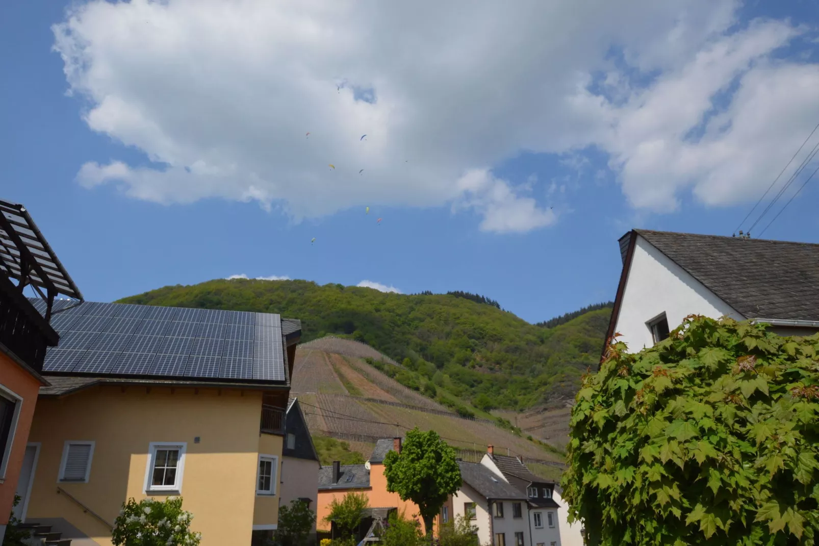Gruppenhaus Moselblick-Gebieden zomer 1km
