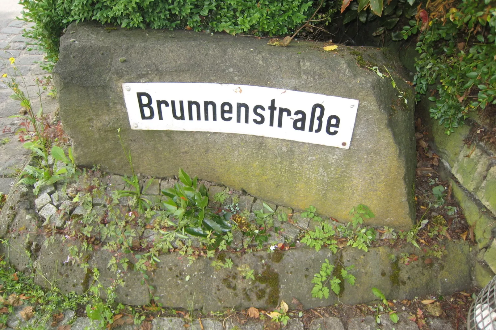 Gruppenhaus Moselblick-Gebieden zomer 1km