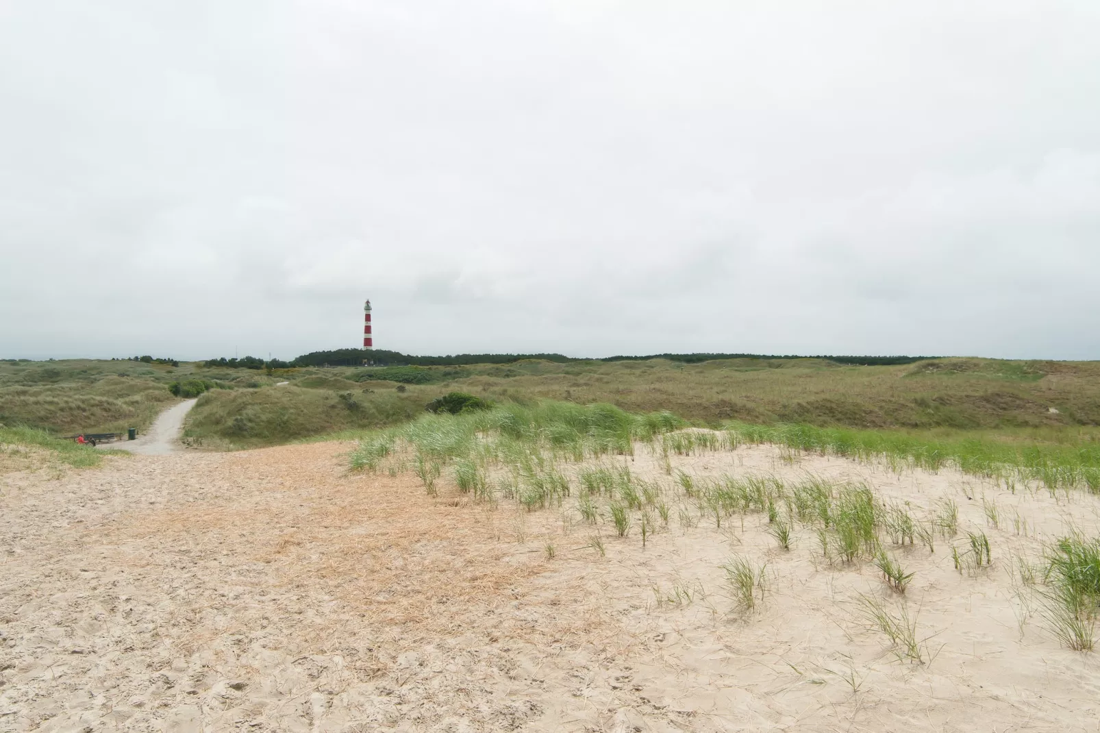 Sea Lodges Ameland 1-Gebieden zomer 1km