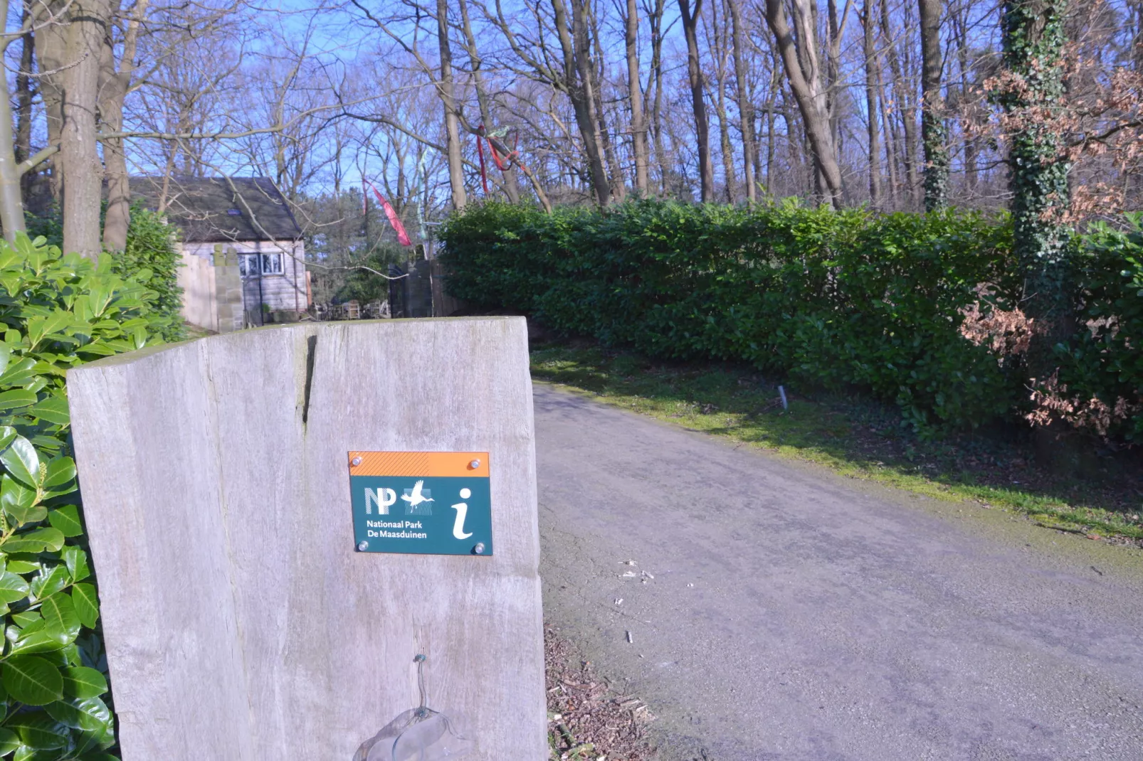 Lodge Maasduinen-Gebieden zomer 5km