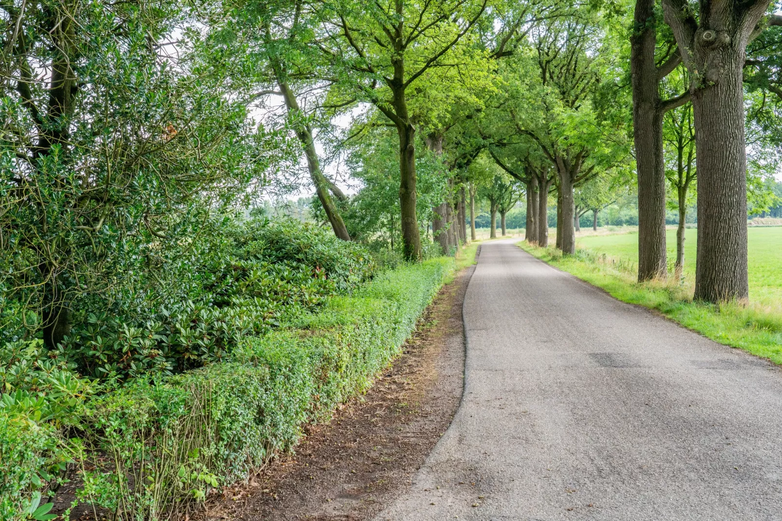 Landgoed de Gun-Gebieden zomer 1km