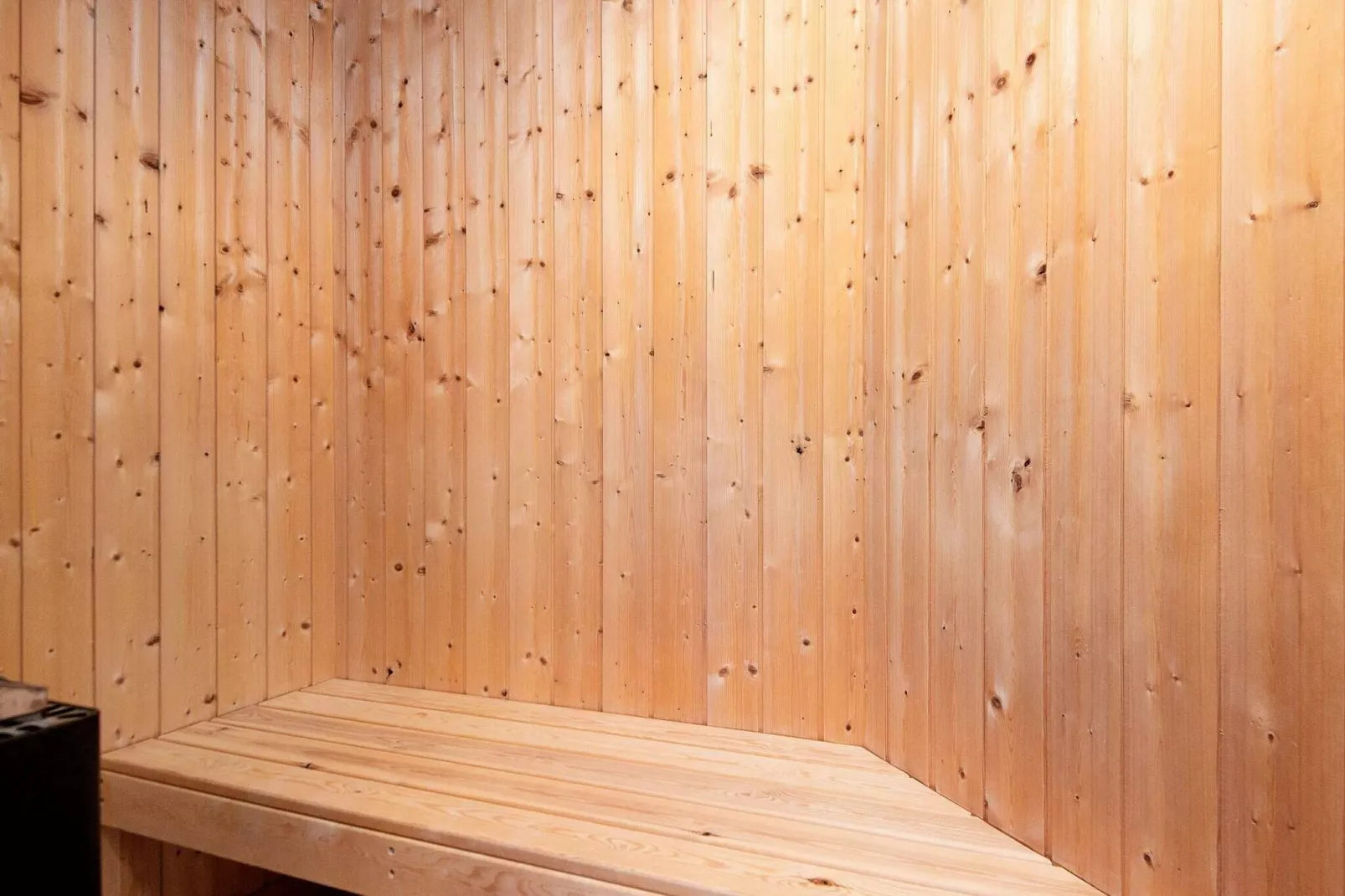 8 persoons vakantie huis in Hemmet-Sauna