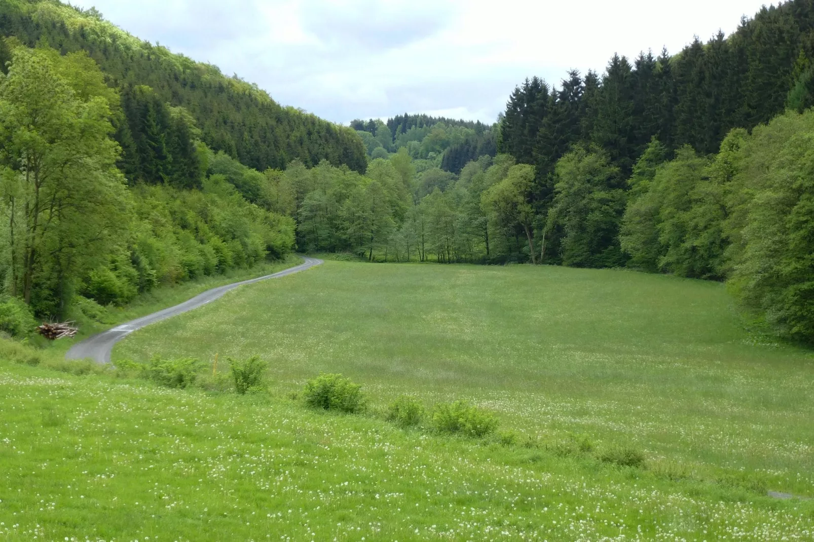Hunau I-Gebieden zomer 1km