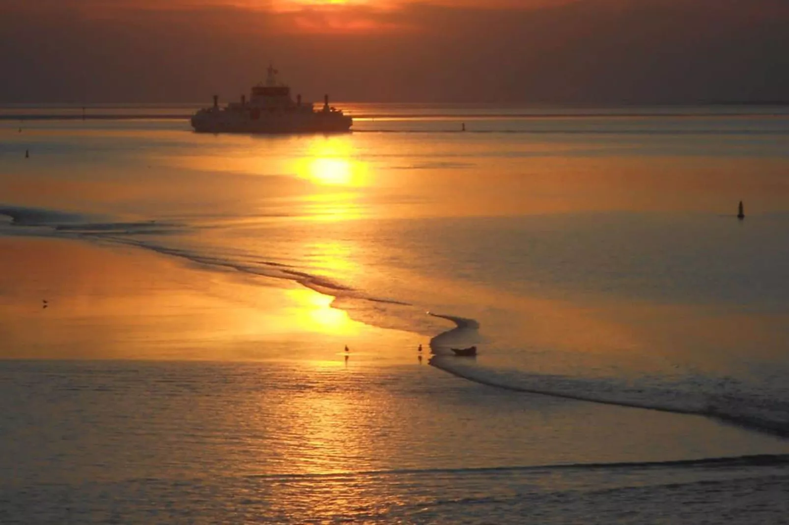 Wadden Festijn-Gebieden zomer 1km