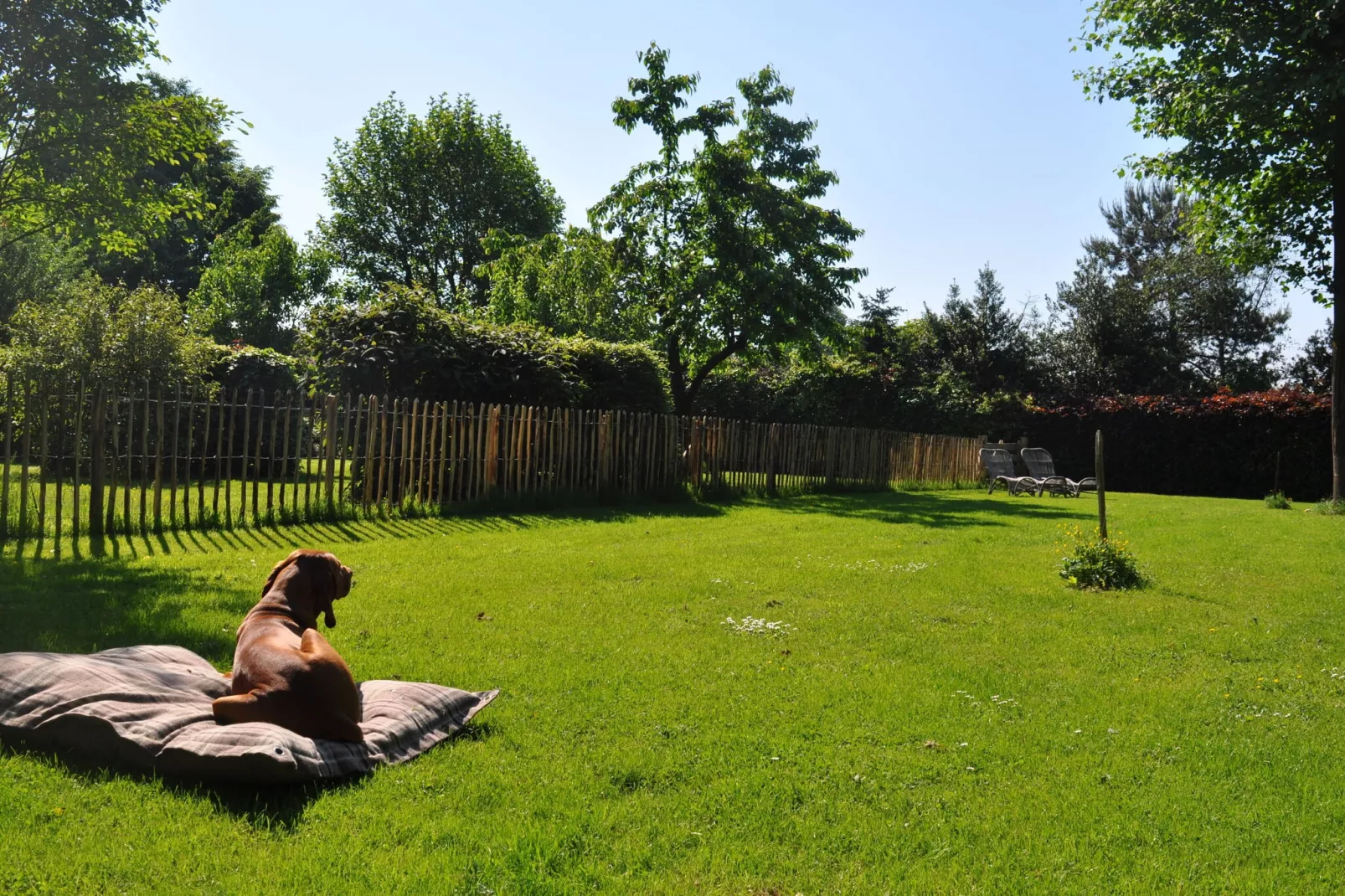Dorpswoning Op Niveau-Tuinen zomer