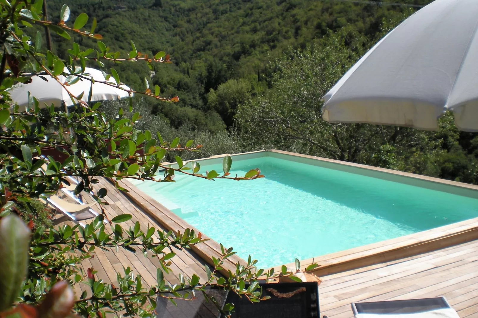 poolofhouse