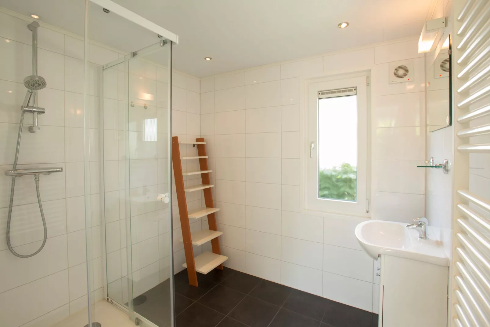 Recreatiepark Tolplas 2-Badkamer