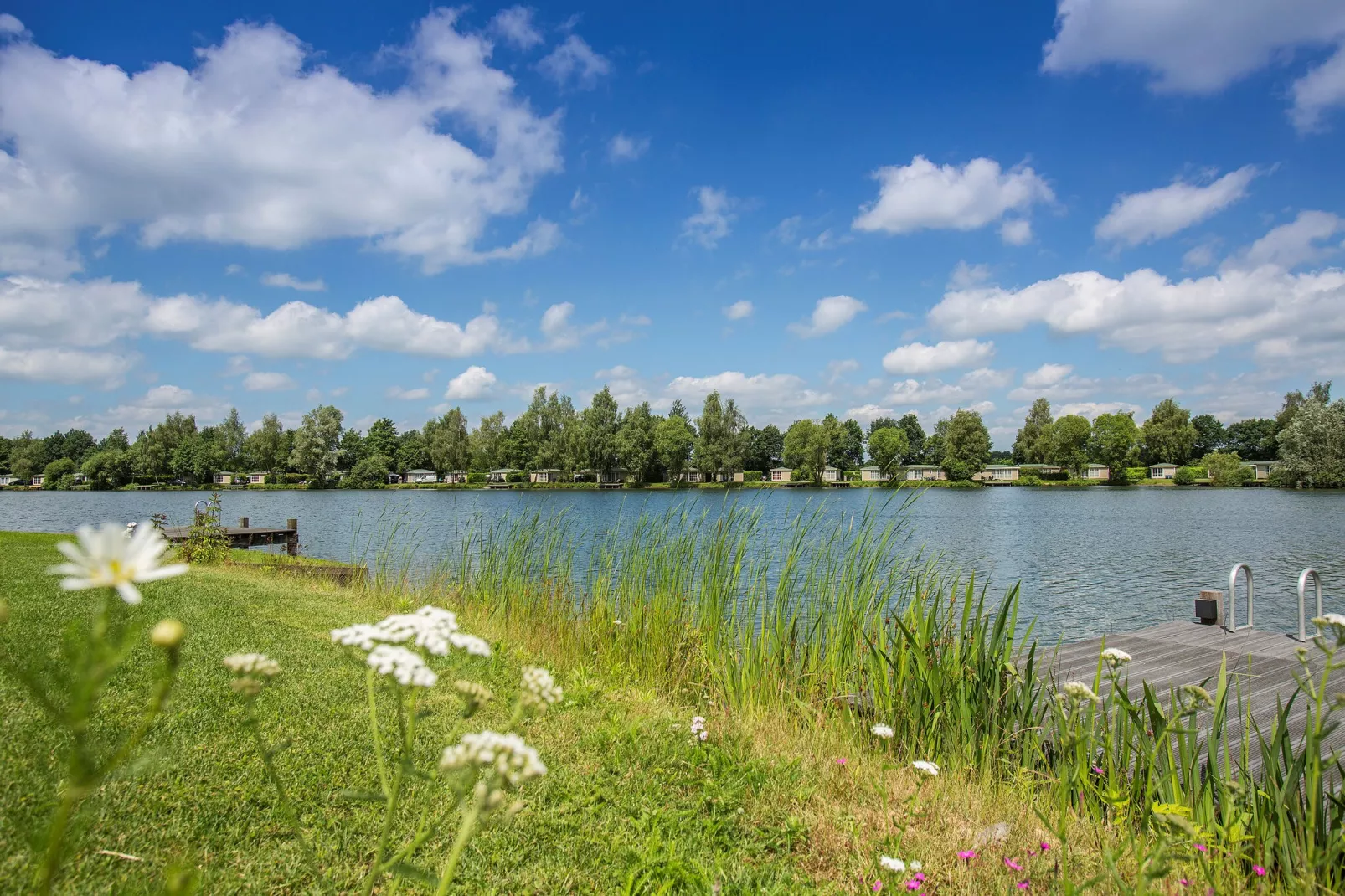 Recreatiepark Tolplas 2-Parkfaciliteiten