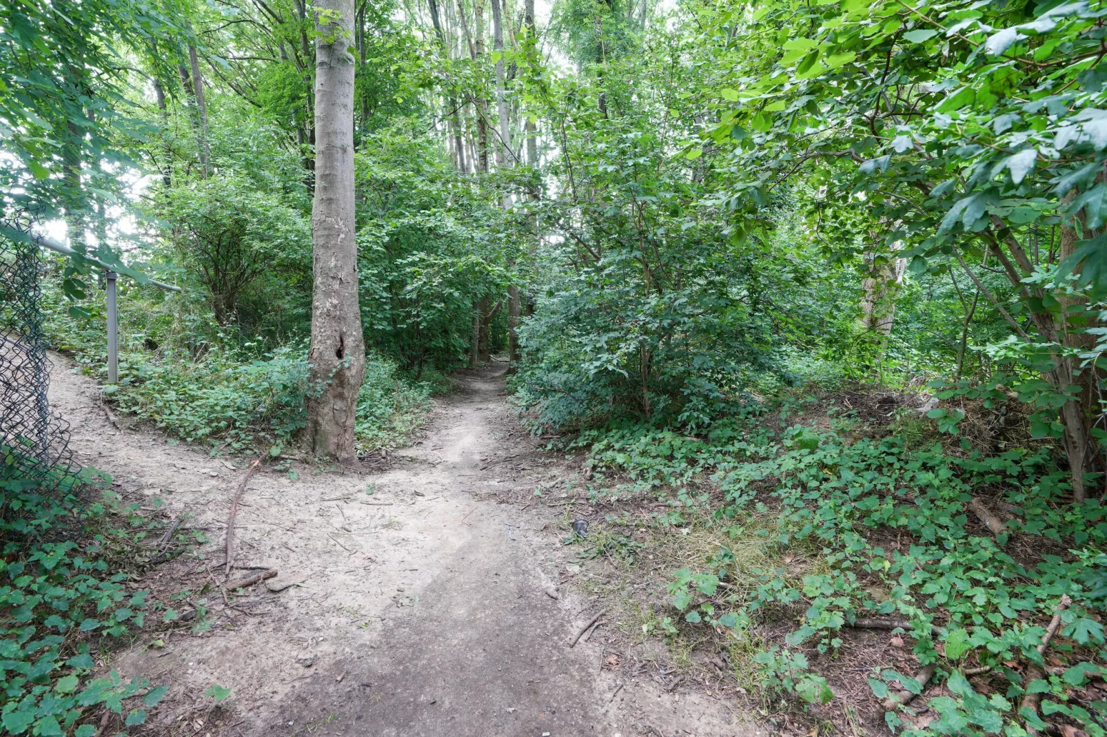 Vakantiewoning De Linge-Gebieden zomer 1km