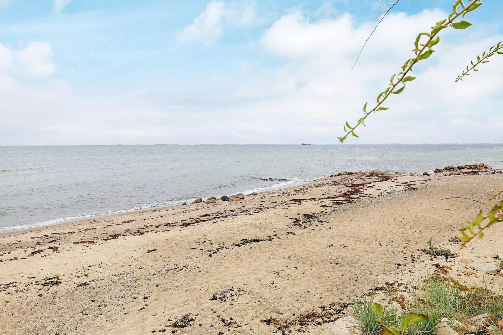 6 persoons vakantie huis in Otterup-By Traum-Niet-getagd