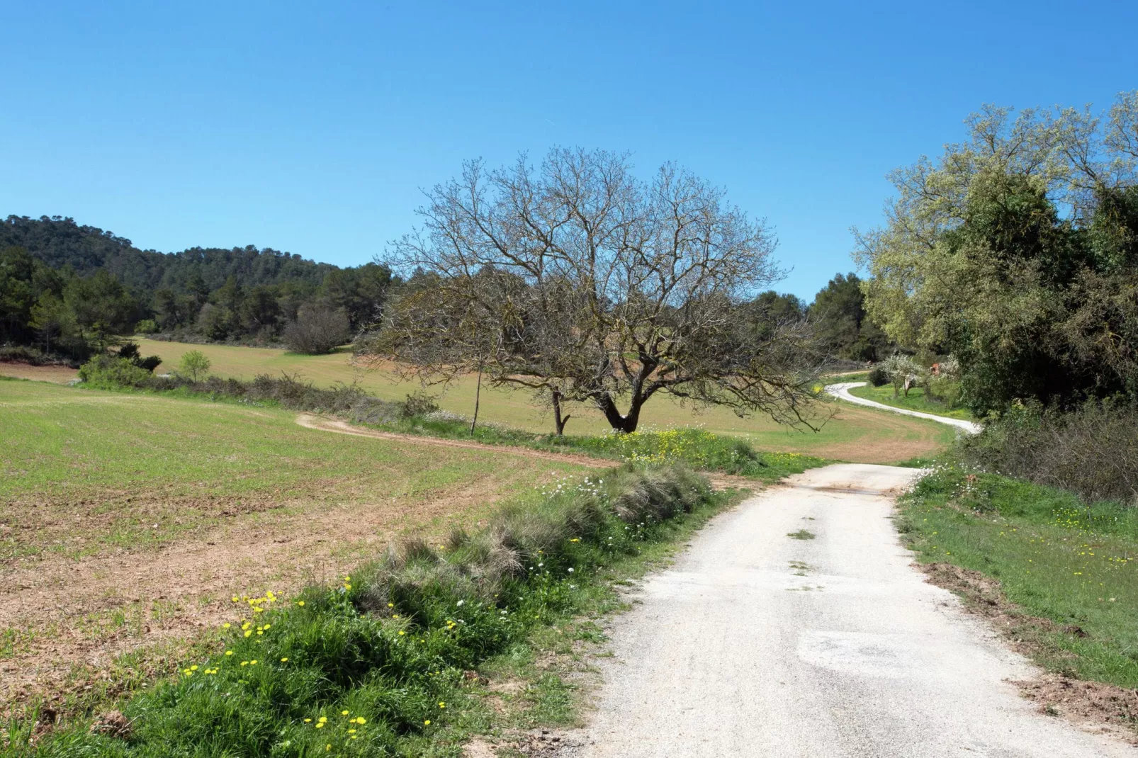 Can Casellas Masovería - Gebieden zomer 1km