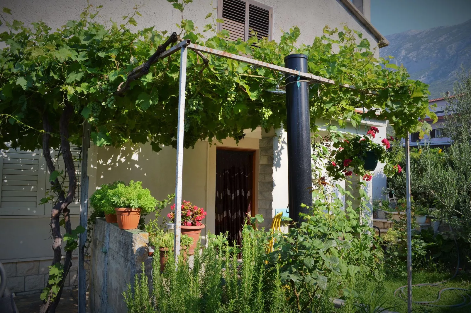 Olive apartment-Buitenkant zomer