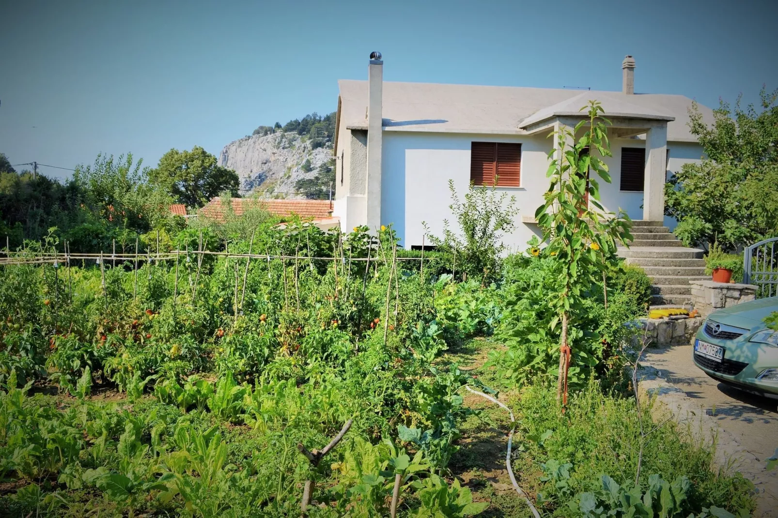 Olive apartment-Buitenkant zomer