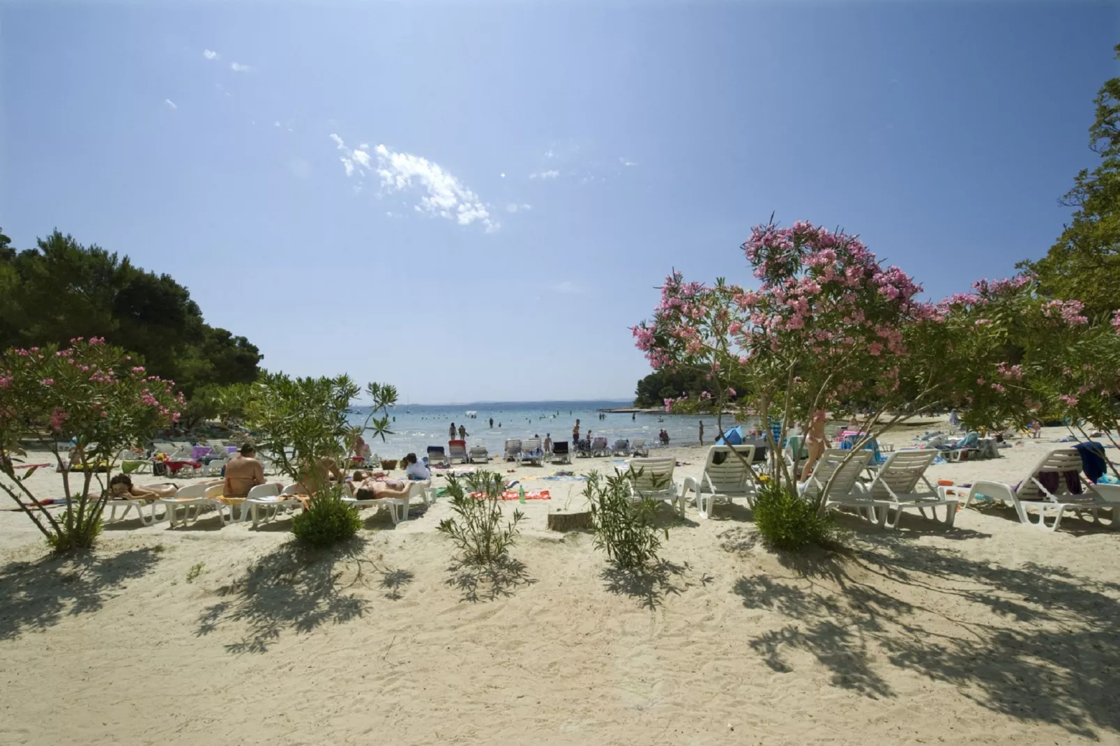 Holiday house Momo-Gebieden zomer 20km