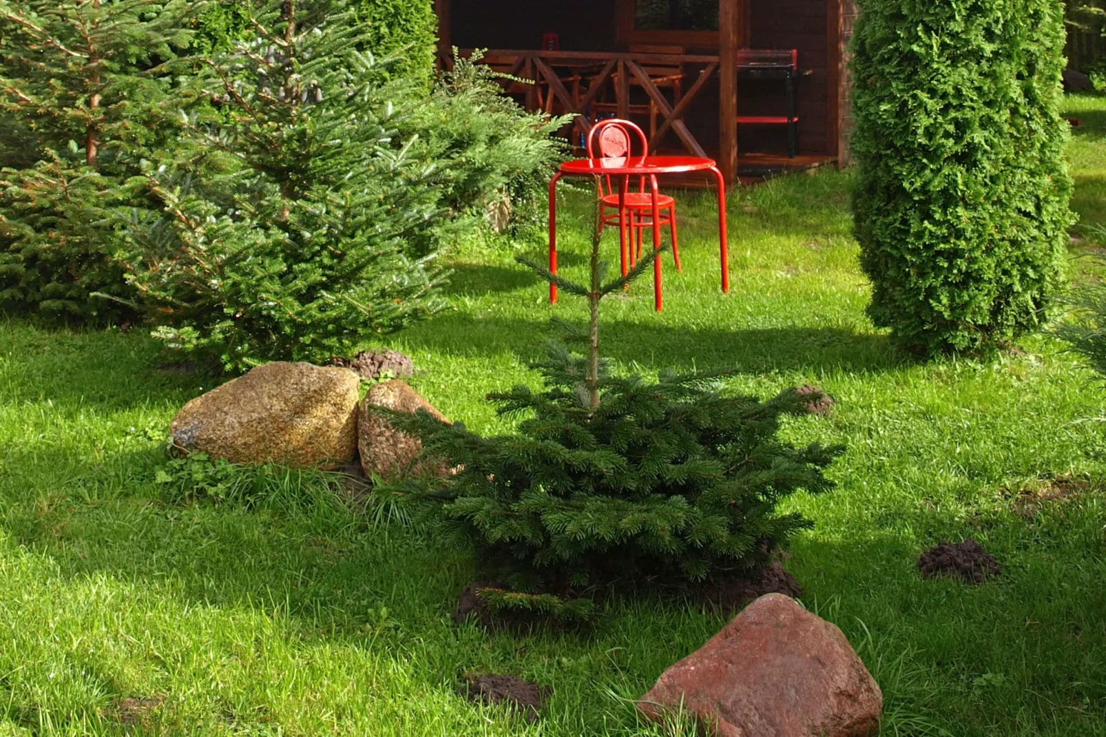 House among beautiful forests-Tuinen zomer