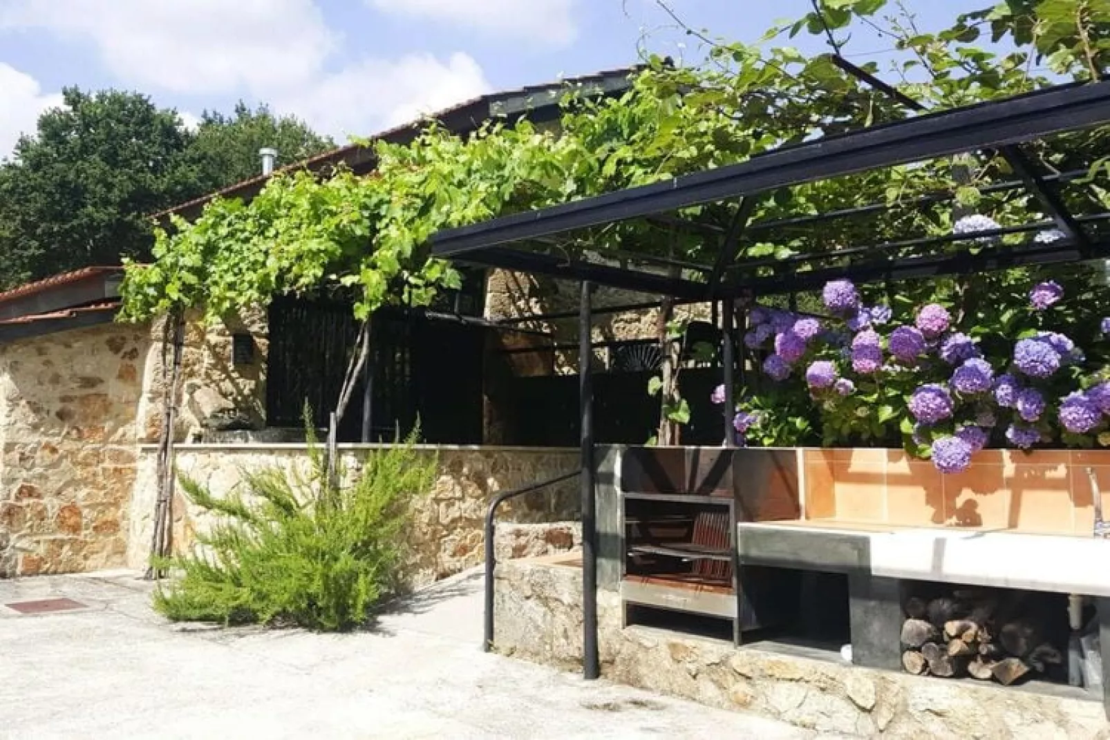 Holiday home Vale de Cambra-Tuinen zomer